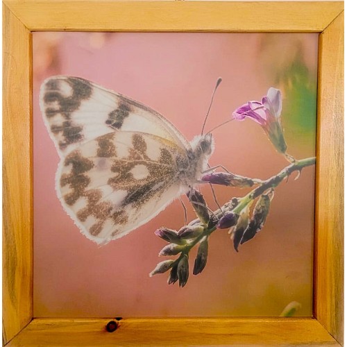 DEKORATİF TABLO  “PASTEL RÜYA” 