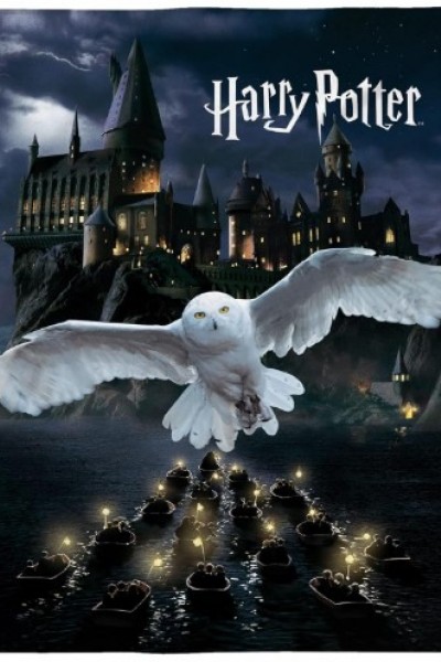 SEVİMLİ HARRY POTTER  HOGWARTS VE BAYKUŞLU POLAR BATTANİYE ( (LACİVERT)