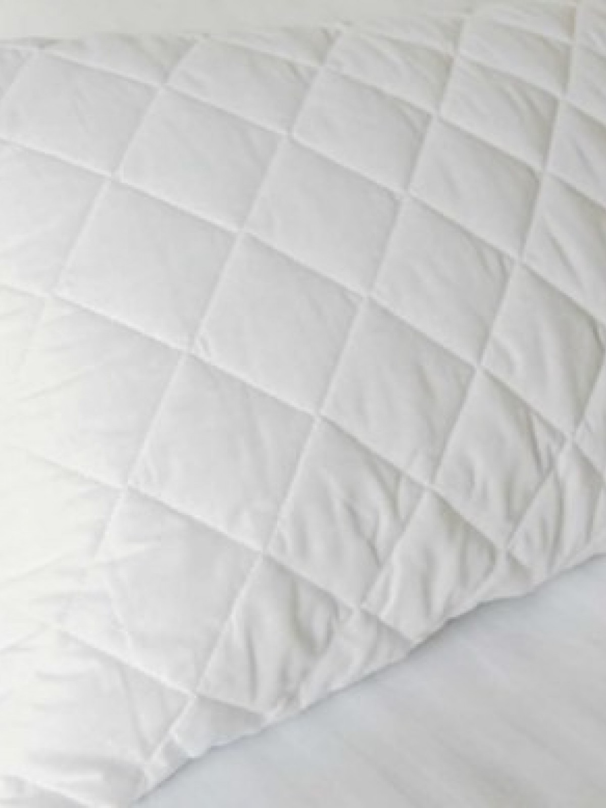 MASALSI KAPİTONELİ FERMUARLI YASTIK ALEZİ 