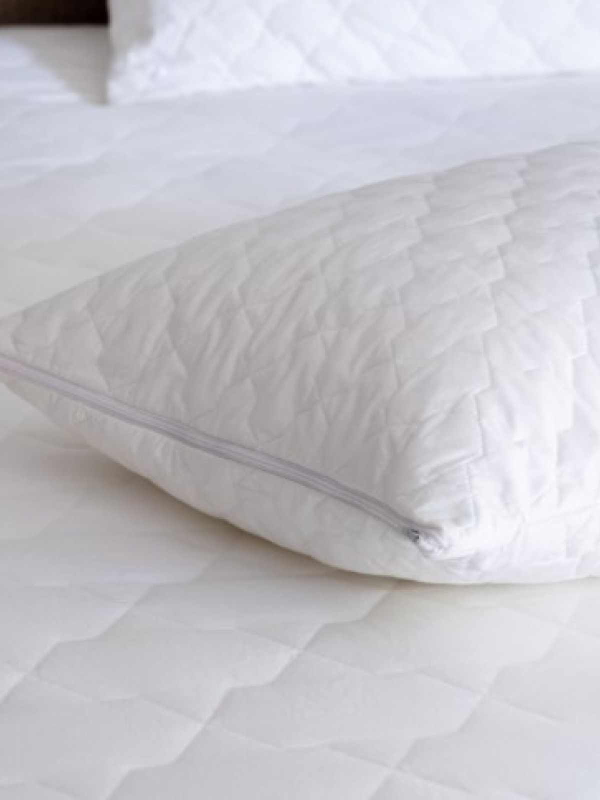 MASALSI KAPİTONELİ FERMUARLI YASTIK ALEZİ 